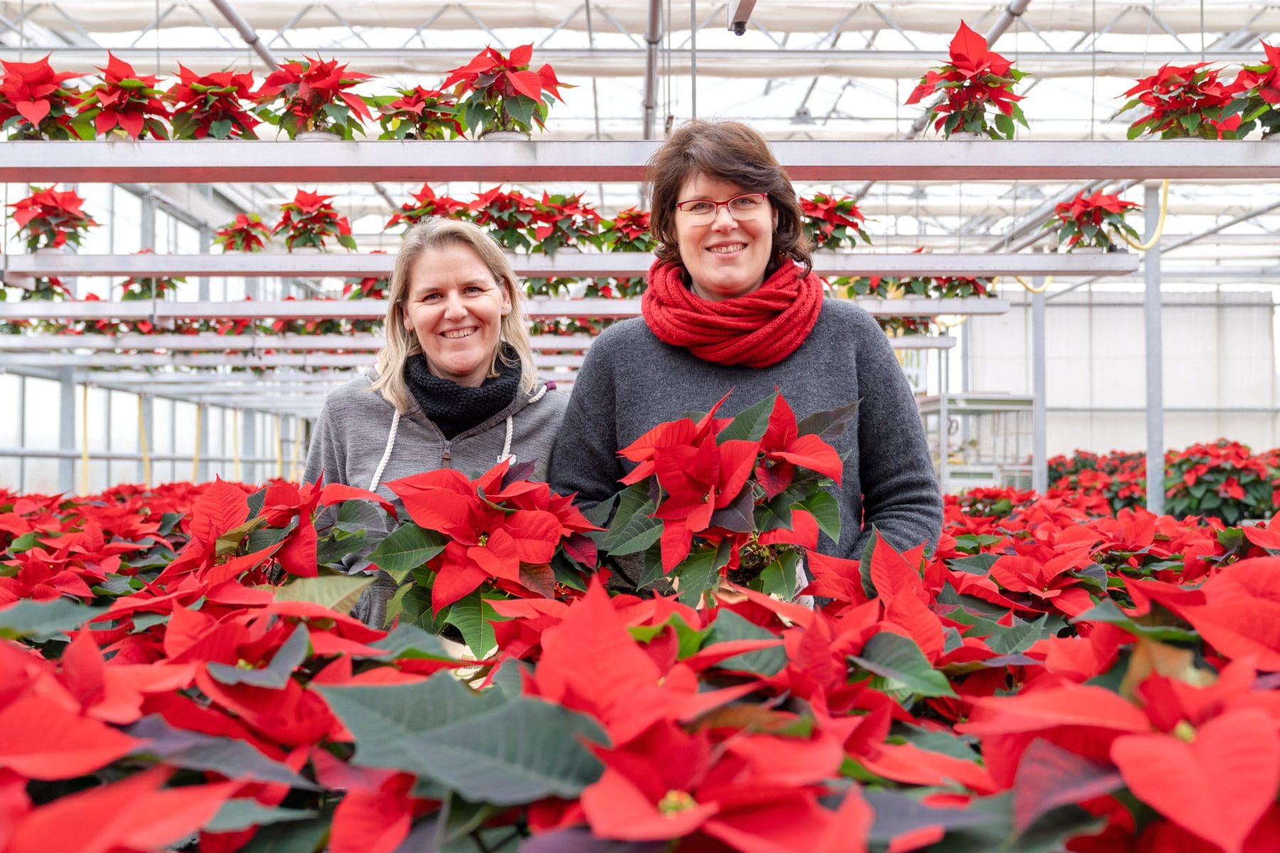 Petra & Kathrin Gammanick mit Weihnachststernen