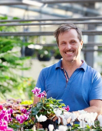 Gaertnerei Michael Hessdoerfer Retzbach Alpenveilchen