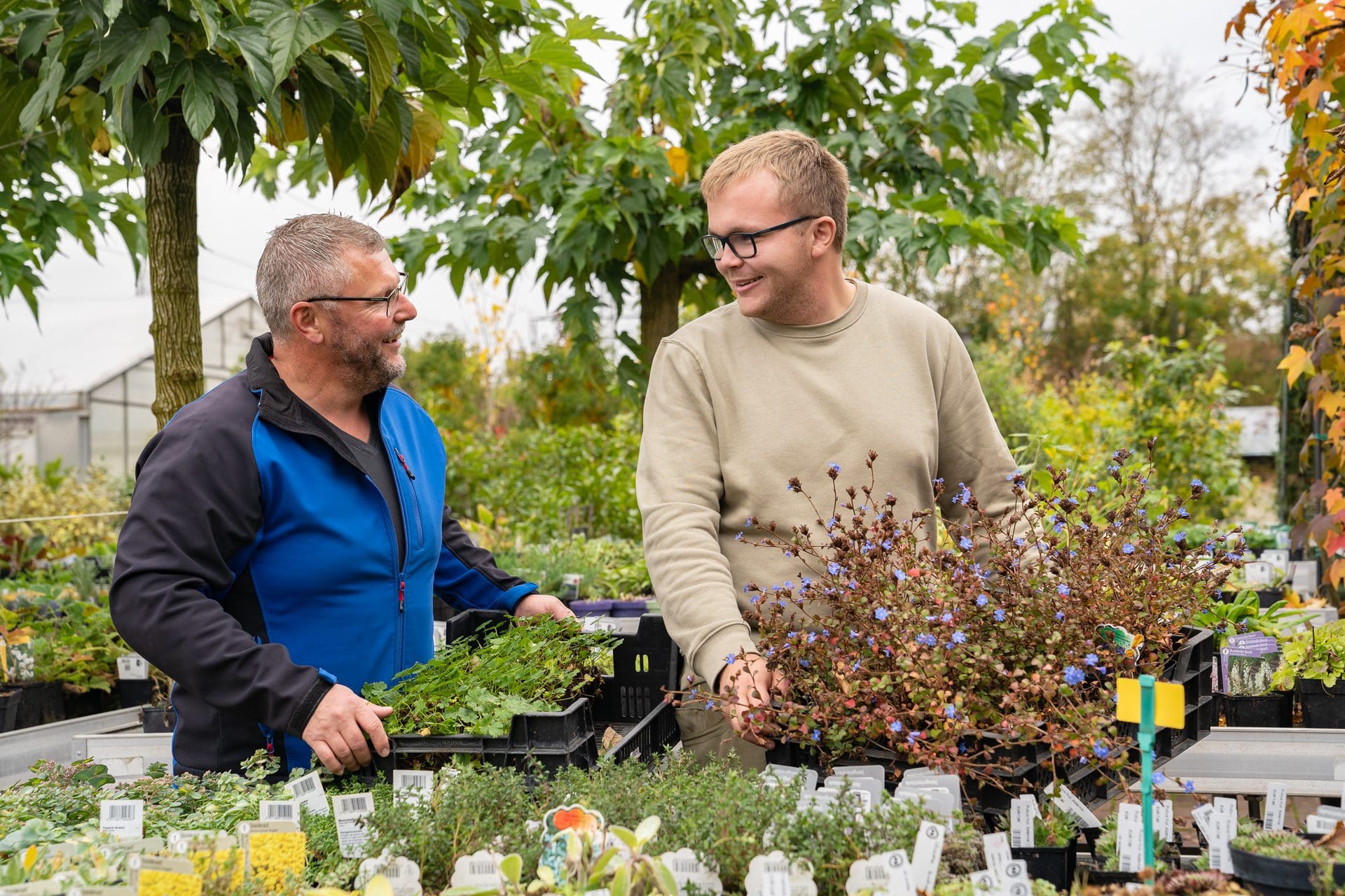 Gartenbaumschule Ringelmann Pflanzenvielfalt Stauden