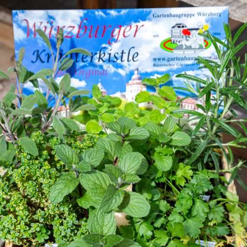 Würzburger Kräuterkistle Der Gartenbaugruppe Würzburg