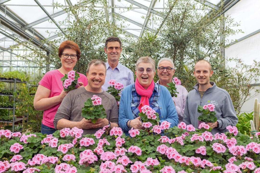 Die Benefizgeranie "Luise" der Gartenbaugruppe Würzburg