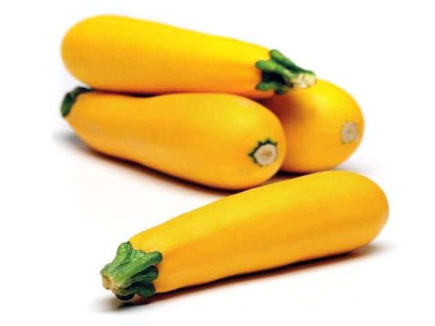 Gelbe Zucchini Wilma Quer