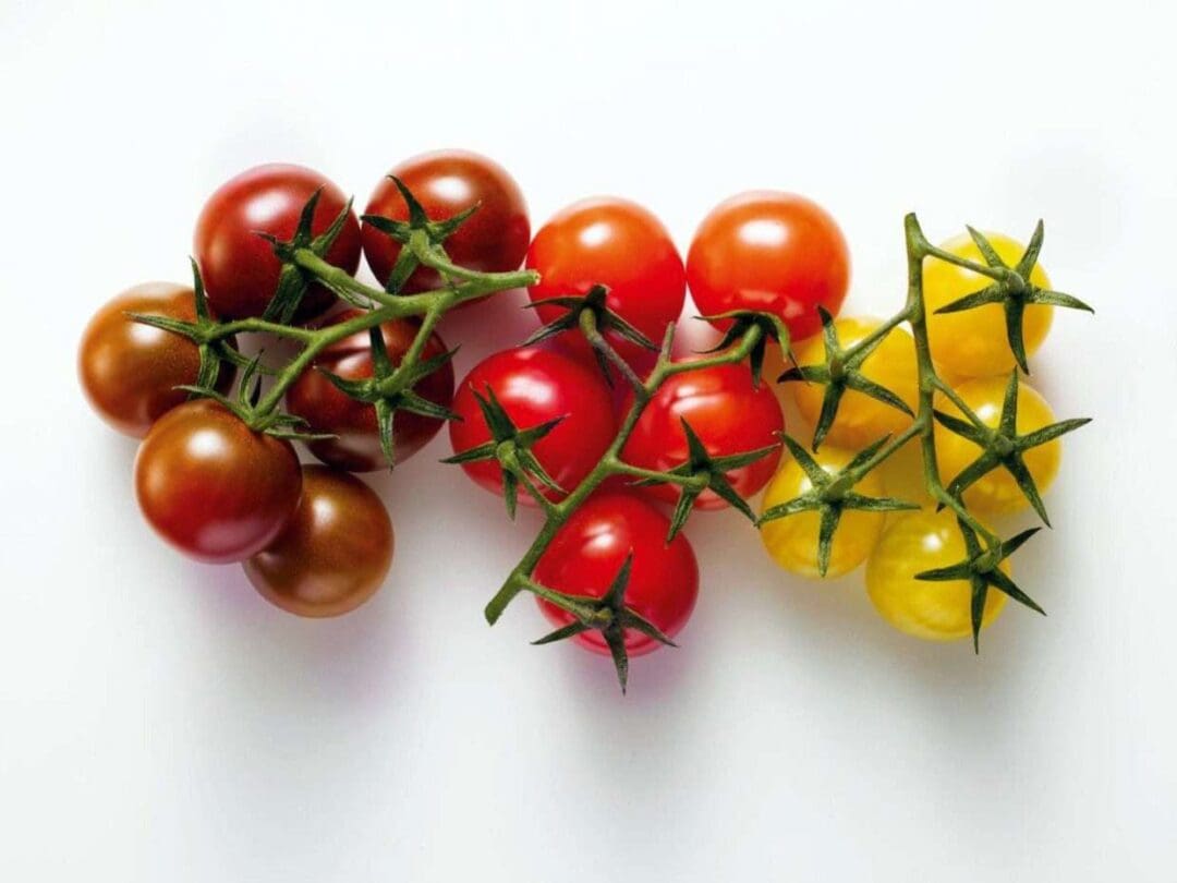 Gemüse des Jahres Tomaten schwarz rot gold lecker